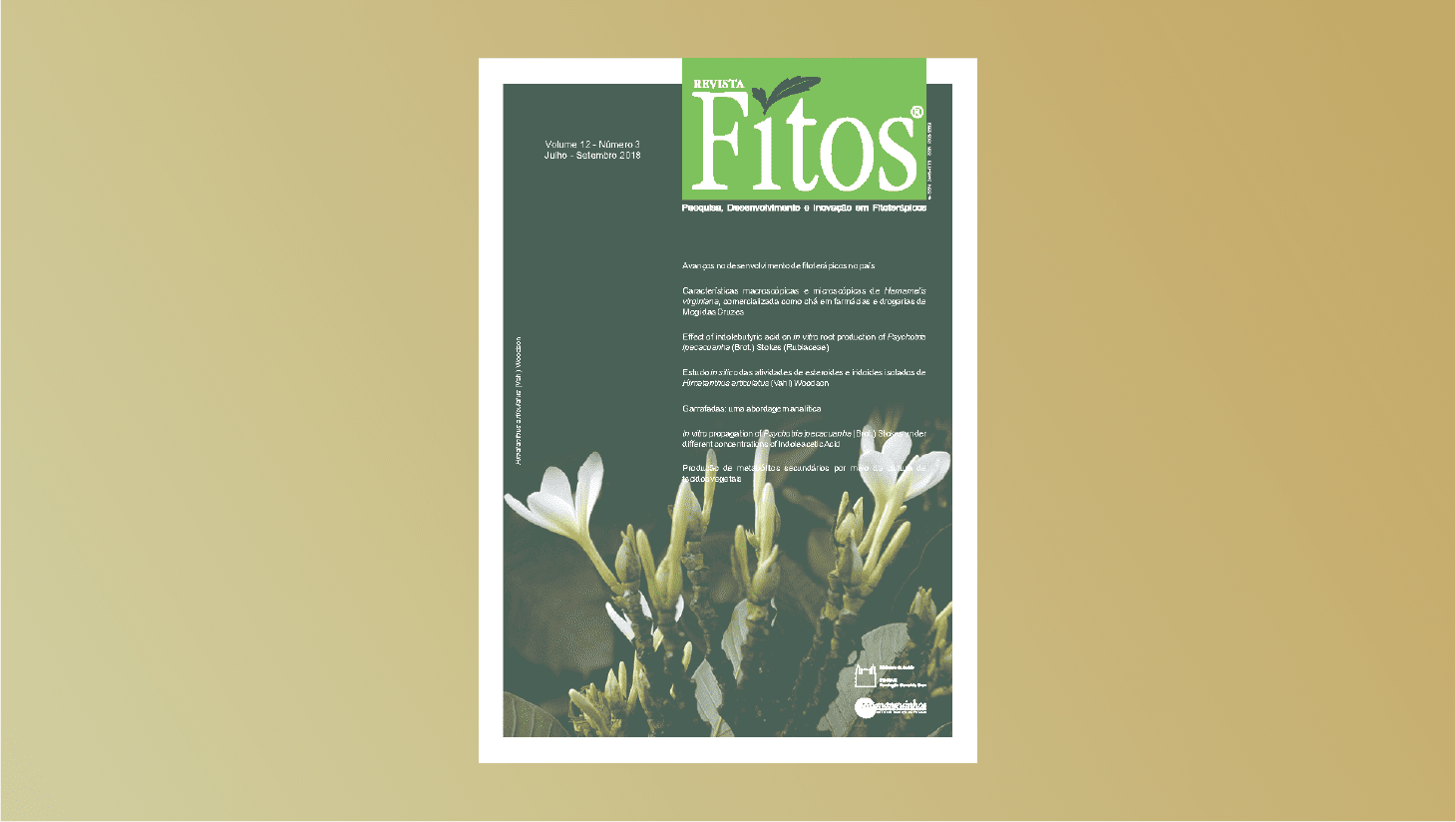Revista de Farmanguinhos é fonte sobre fitoterapia