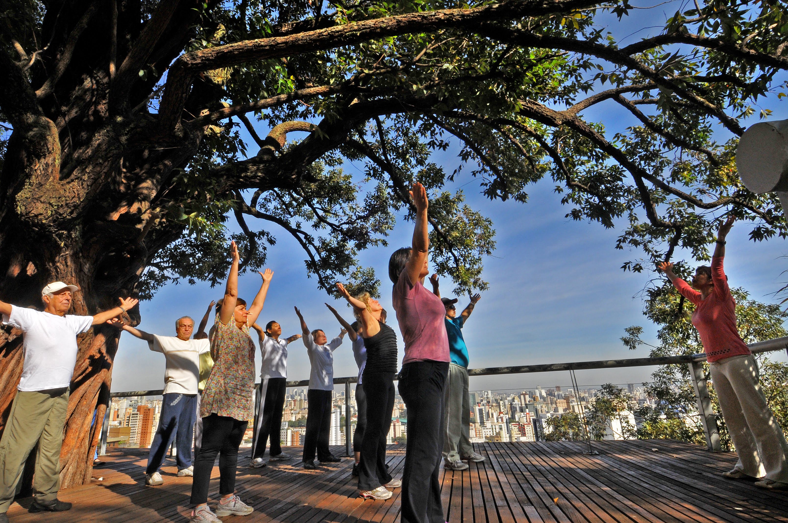 Conheça as práticas integrativas no mês dedicado a elas