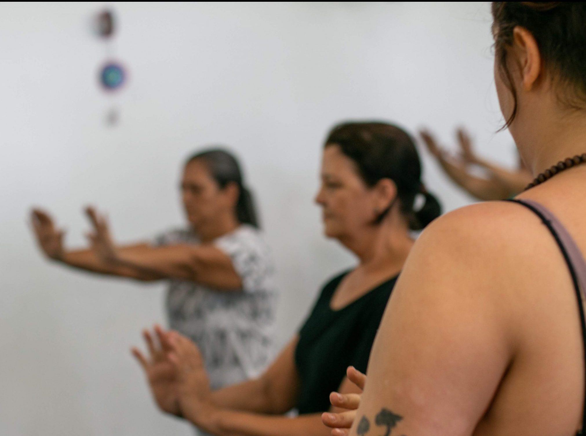 Propostas e estratégias para ampliar a articulação entre medicinas tradicionais, PICS e políticas de saúde nas Américas