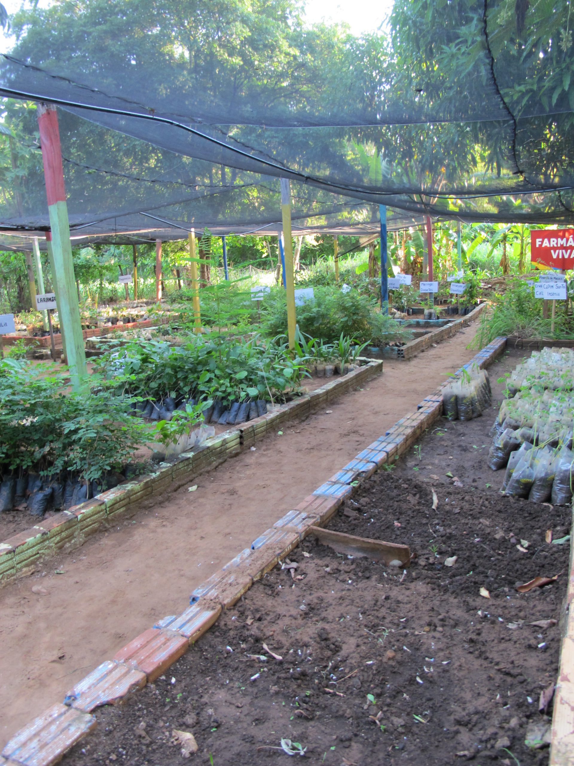 FARMÁCIA (UFPE - CAMPUS UNIVERSITÁRIO CIDADE DO RECIFE)