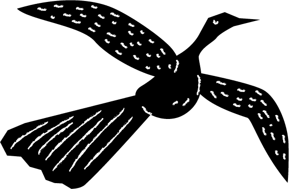 bird