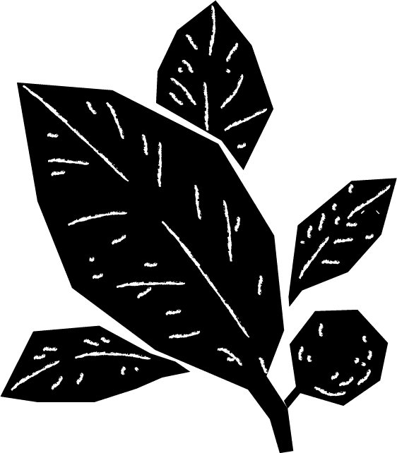 leaves