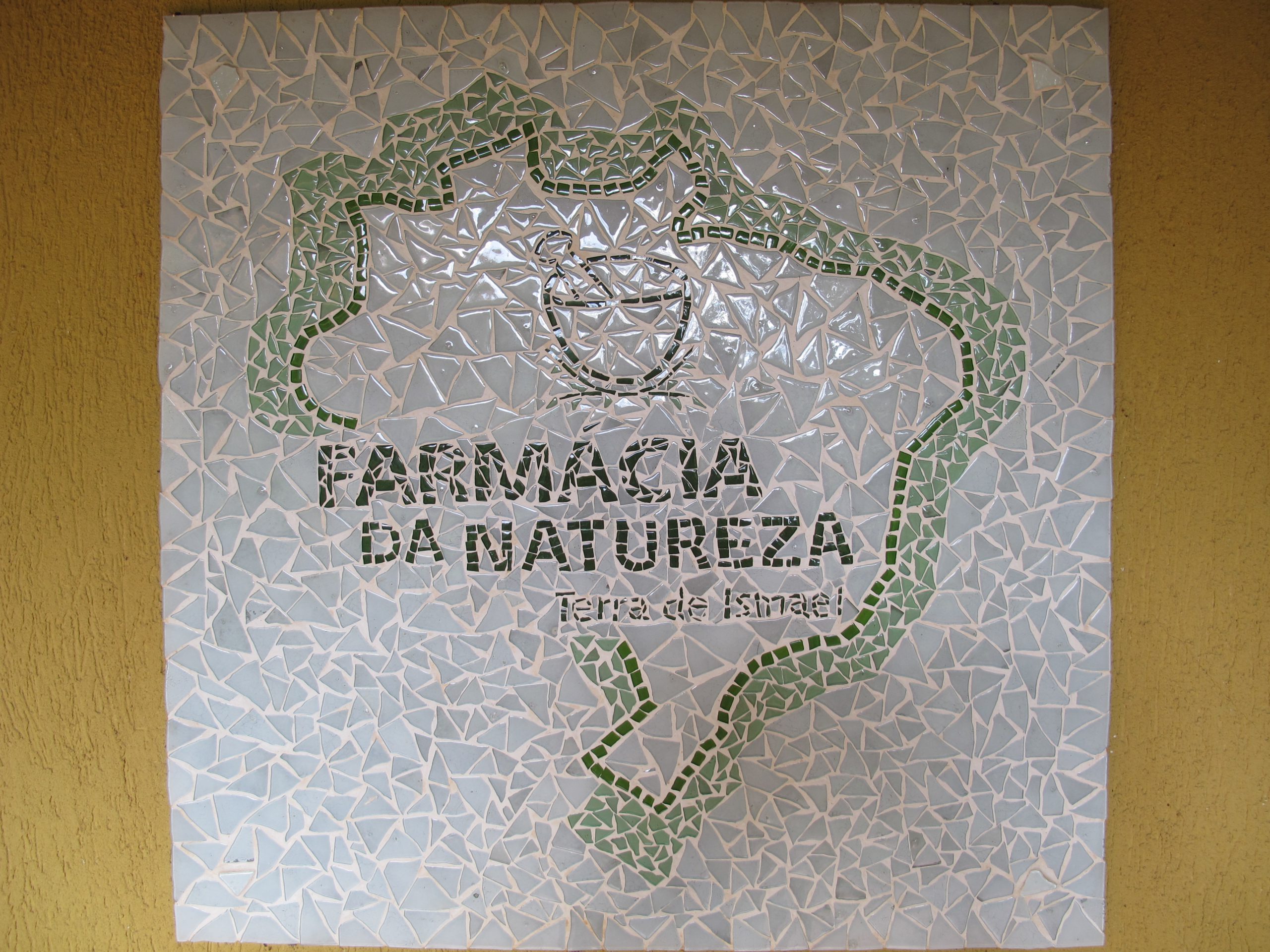 Mapeamento da fitoterapia brasileira, coordenado pelo ObservaPICS, é apresentado na Espanha e Portugal