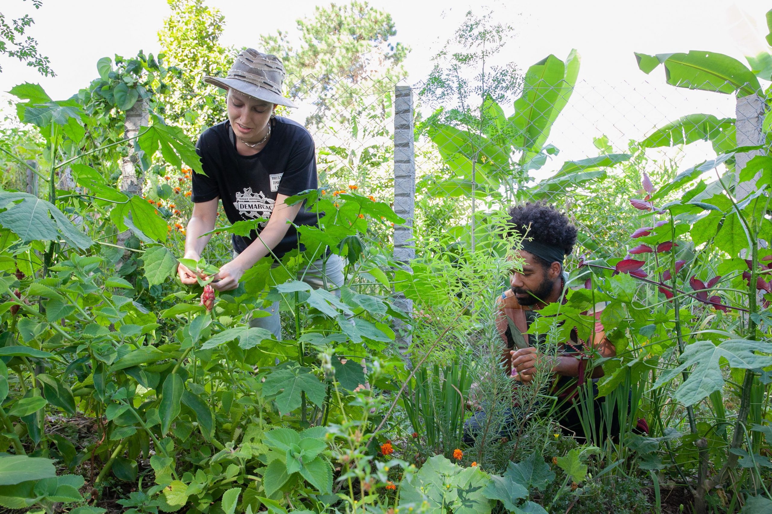 Experiência – Hortos terapêuticos com participação comunitária no DF