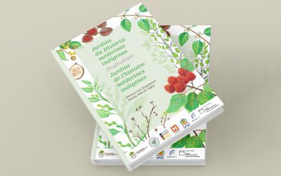 Saberes Tradicionais – Livro divulga relação de indígenas com plantas medicinais