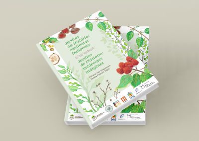 Saberes Tradicionais – Livro divulga relação de indígenas com plantas medicinais