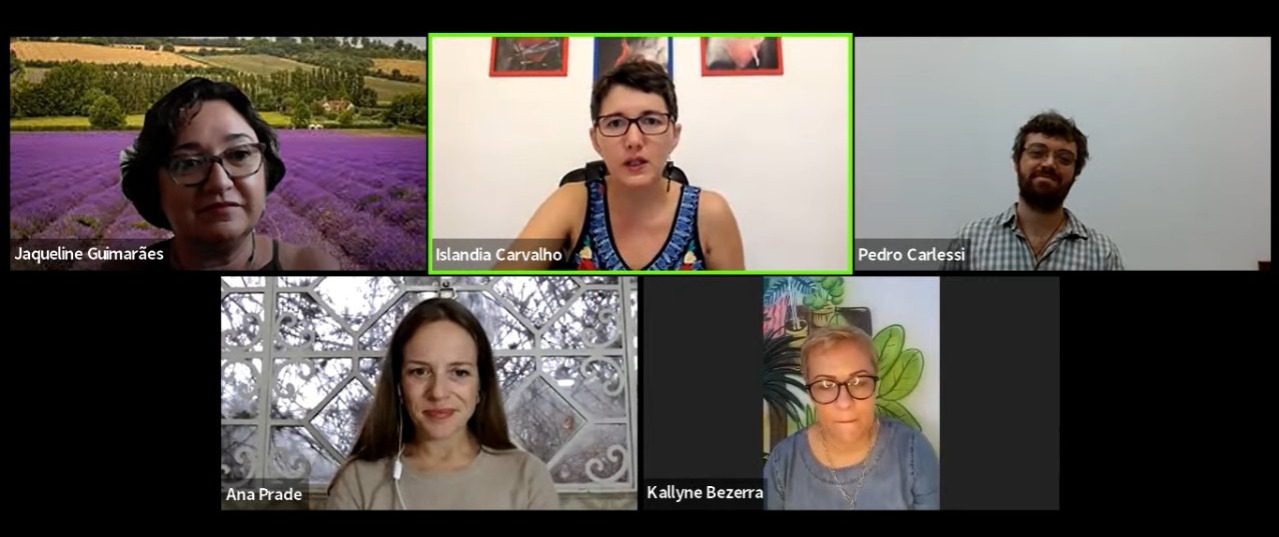 Live debateu resultados do estudo Cartografia da fitoterapia no SUS