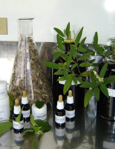 Farmácia Viva do Riacho Fundo/DF: Foto: Nilton Luz Netto Junior.