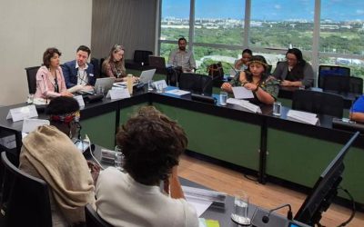 Plataforma de Fito do ObservaPICS é apresentada a Comitê Nacional de Plantas Medicinais