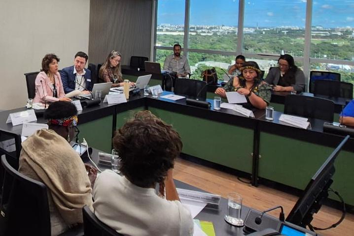 Plataforma de Fito do ObservaPICS é apresentada a Comitê Nacional de Plantas Medicinais